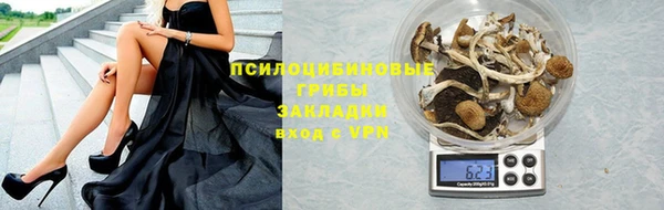 дурь Белокуриха