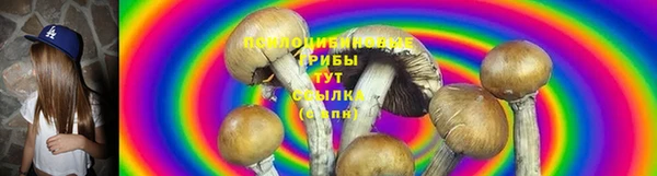 МДМА Лабытнанги