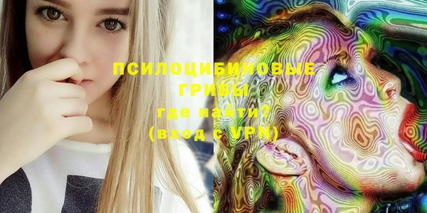 дурь Белокуриха
