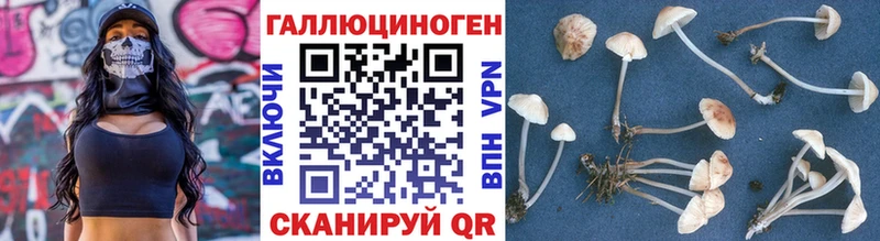 Псилоцибиновые грибы MAGIC MUSHROOMS  OMG ONION  Сердобск 