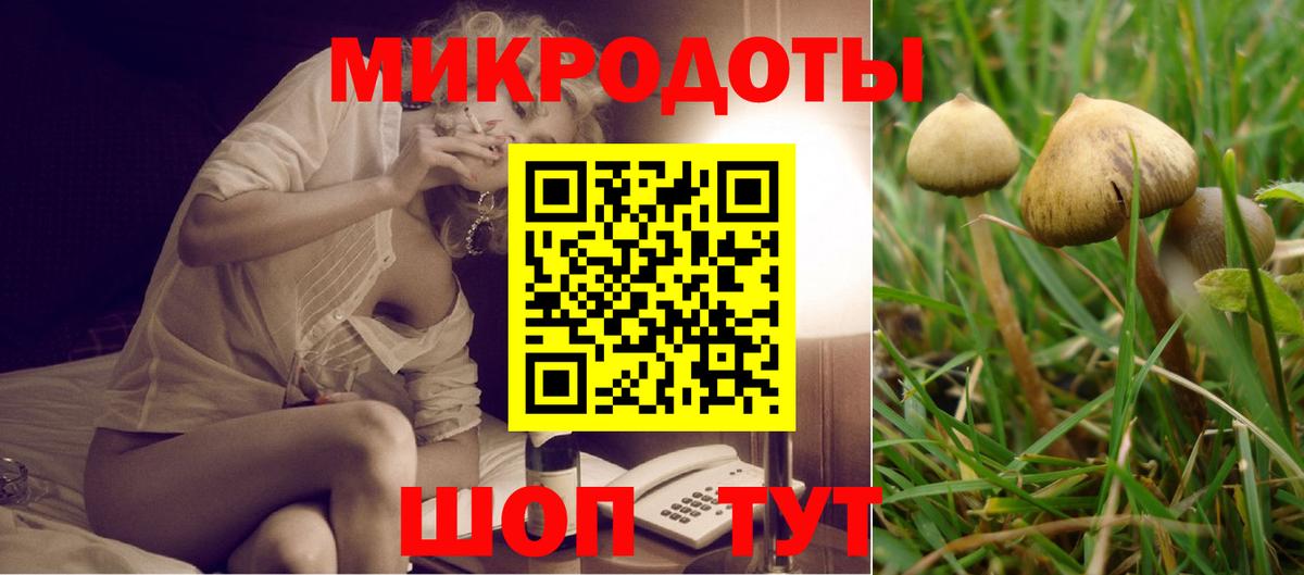 Галлюциногенные грибы Magic Shrooms  продажа наркотиков  Вход с VPN  Сердобск  Псилоцибиновые грибы ЛСД 